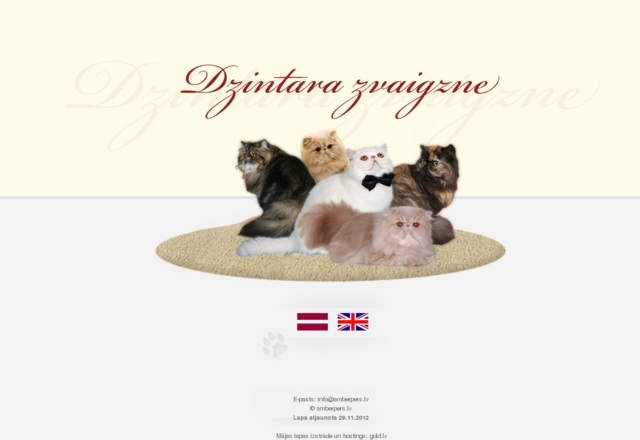 Dzintara zvaigzne kaķu audzētava, 